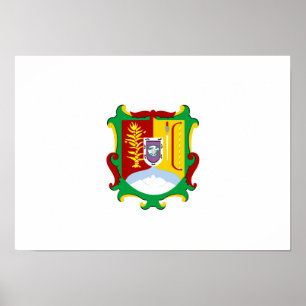 Flagga av Nayarit Poster