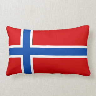 Flagga av norgen lumbarkudde