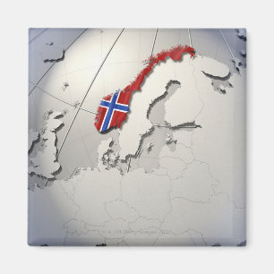 Flagga av norgen magnet