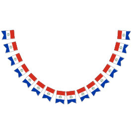 Flagga av Paraguay