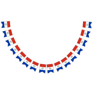 Flagga av Paraguay