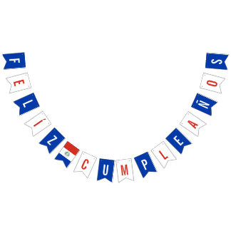 Flagga av Paraguays Födelsedagsfest-Dekorationer