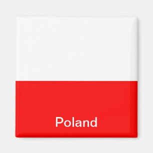 Flagga av Polen Magnet