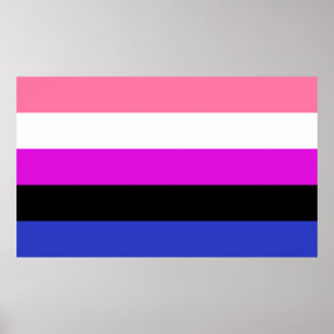 Flagga av Pride av genderfluid Poster