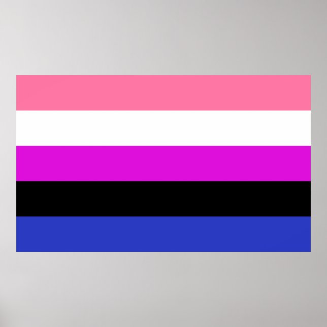 Flagga av Pride av genderfluid Poster (Framsidan)