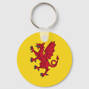 Flagga av Somerset Keychain Nyckelring