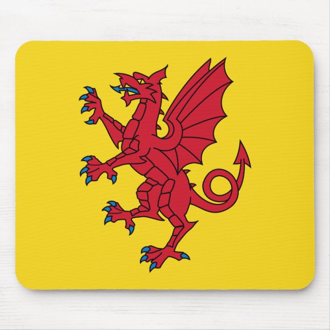 Flagga av Somerset Musmatta (Framsidan)