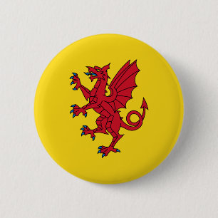 Flagga av Somerset Pinback-knapp Knapp