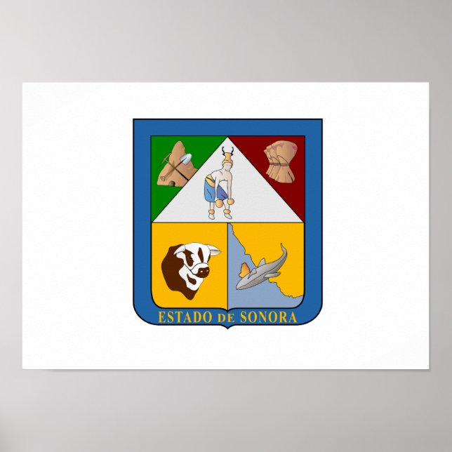 Flagga av Sonora Poster (Framsidan)