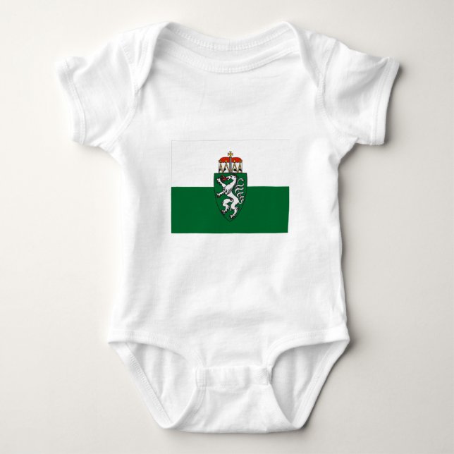 Flagga av Styria, Österrike Tee (Framsida)