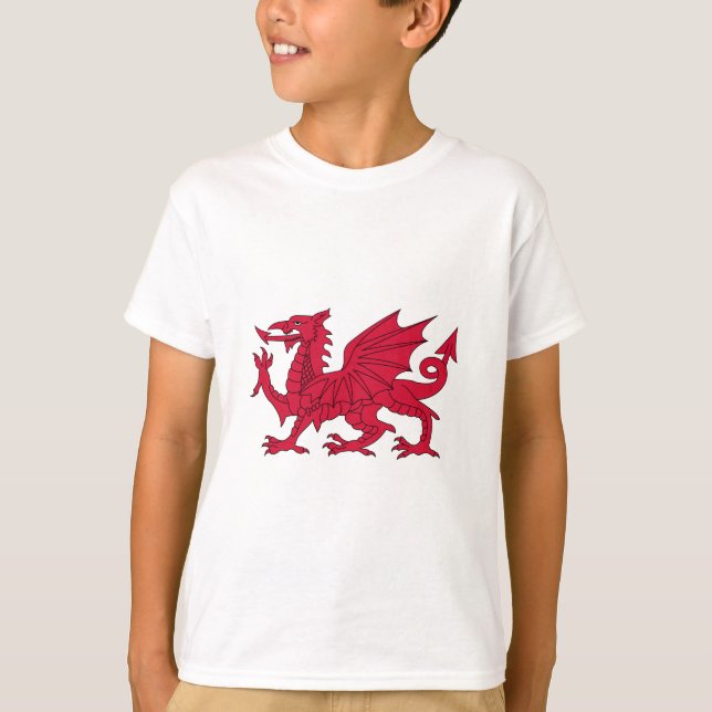 Flagga av Wales - den röda draken - Baner Cymru Tee Shirt (Framsida)