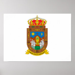 Flagga av Zacatecas Poster