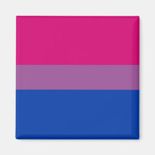 Flagga Bisexuellt Pride Magnet