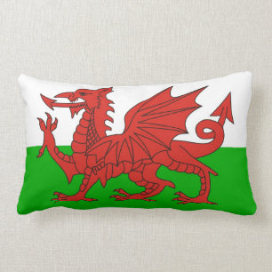 flagga brittiska welsh för wales landdrake lumbarkudde
