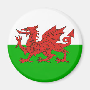 flagga brittiska welsh för wales landdrake magnet