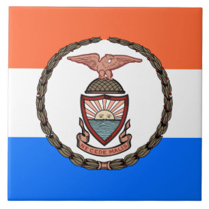 Flagga Bronx (Borough in New York City) Kakelplatta