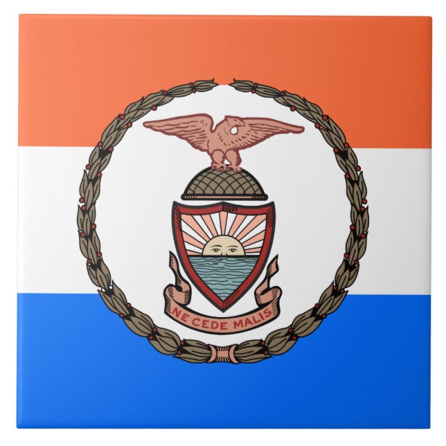 Flagga Bronx (Borough in New York City) Kakelplatta (Framsidan)