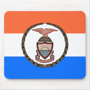 Flagga Bronx (Borough in New York City) Musmatta