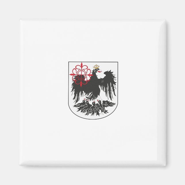 Flagga Buenos Aires (Argentina) Magnet (Framsidan)
