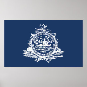 Flagga Charleston, South Carolina Poster