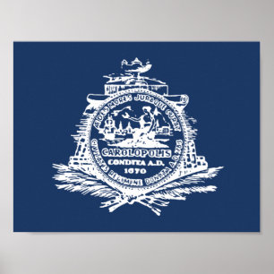 Flagga Charleston, South Carolina Poster