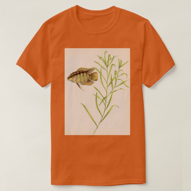 Flagga cichlid Mesonauta festivus T Shirt (Design framsida)