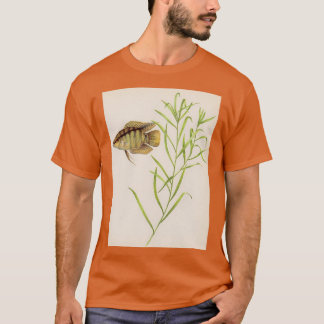 Flagga cichlid Mesonauta festivus T Shirt