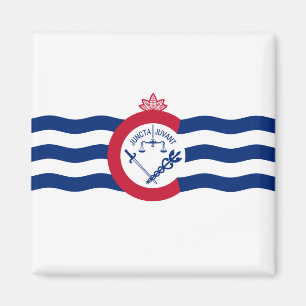 Flagga Cincinnati (Ohio) Magnet