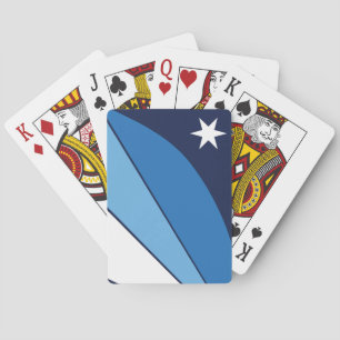 Flagga Columbia, South Carolina Casinokort