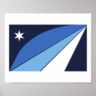 Flagga Columbia, South Carolina Poster