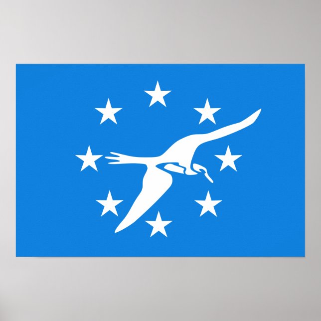 Flagga Corpus Christi Poster (Framsidan)