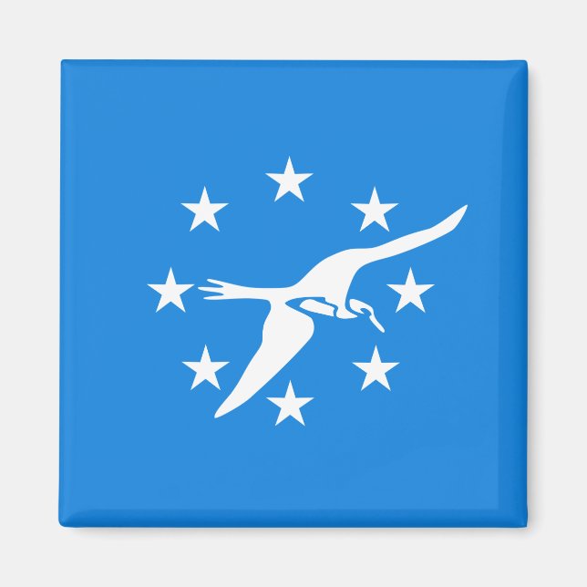 Flagga Corpus Christi (Texas) Magnet (Framsidan)