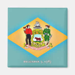 Flagga Delaware Magnet