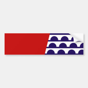 Flagga Des Moines (Iowa City) Bildekal