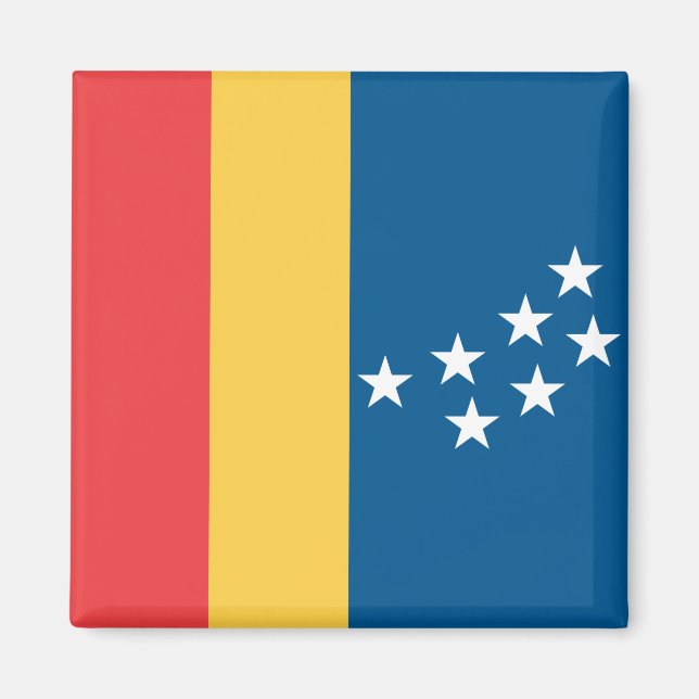Flagga Durham (North Carolina, USA) Magnet (Framsidan)