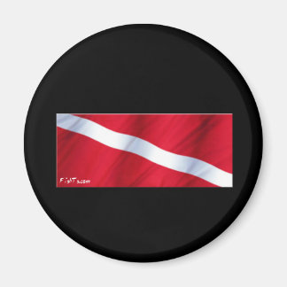 Flagga Enhet Magnet