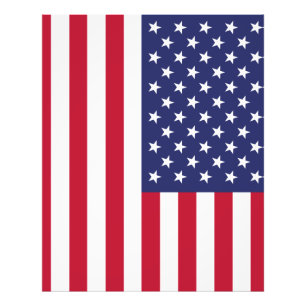 Flagga för Amerikas förenta stater Fototryck
