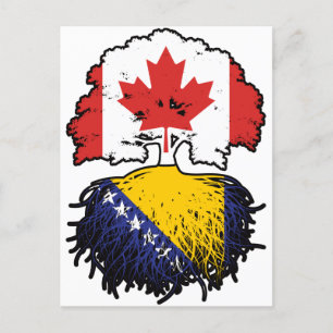 Flagga för bosniska kanadensiska kanadensiska Träd Vykort