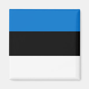 Flagga för Estland medborgarevärld Magnet