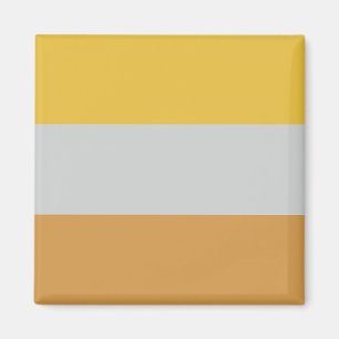 Flagga för funktionshinder magnet