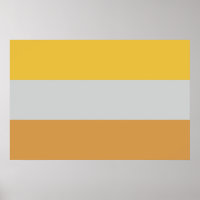Flagga för funktionshinder