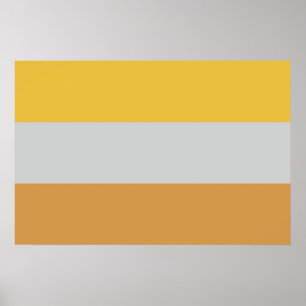 Flagga för funktionshinder poster
