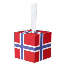 flagga för norge