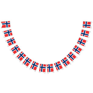Flagga för norge
