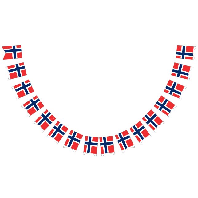 Flagga för norge (Alla)