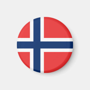 Flagga för norge magnet