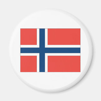 Flagga för norge magnet