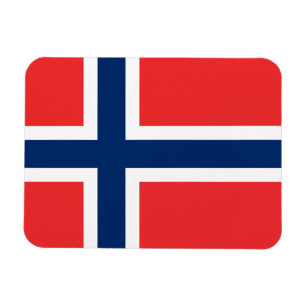 Flagga för norge magnet