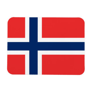 Flagga för norge magnet
