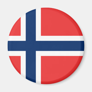 flagga för norge magnet